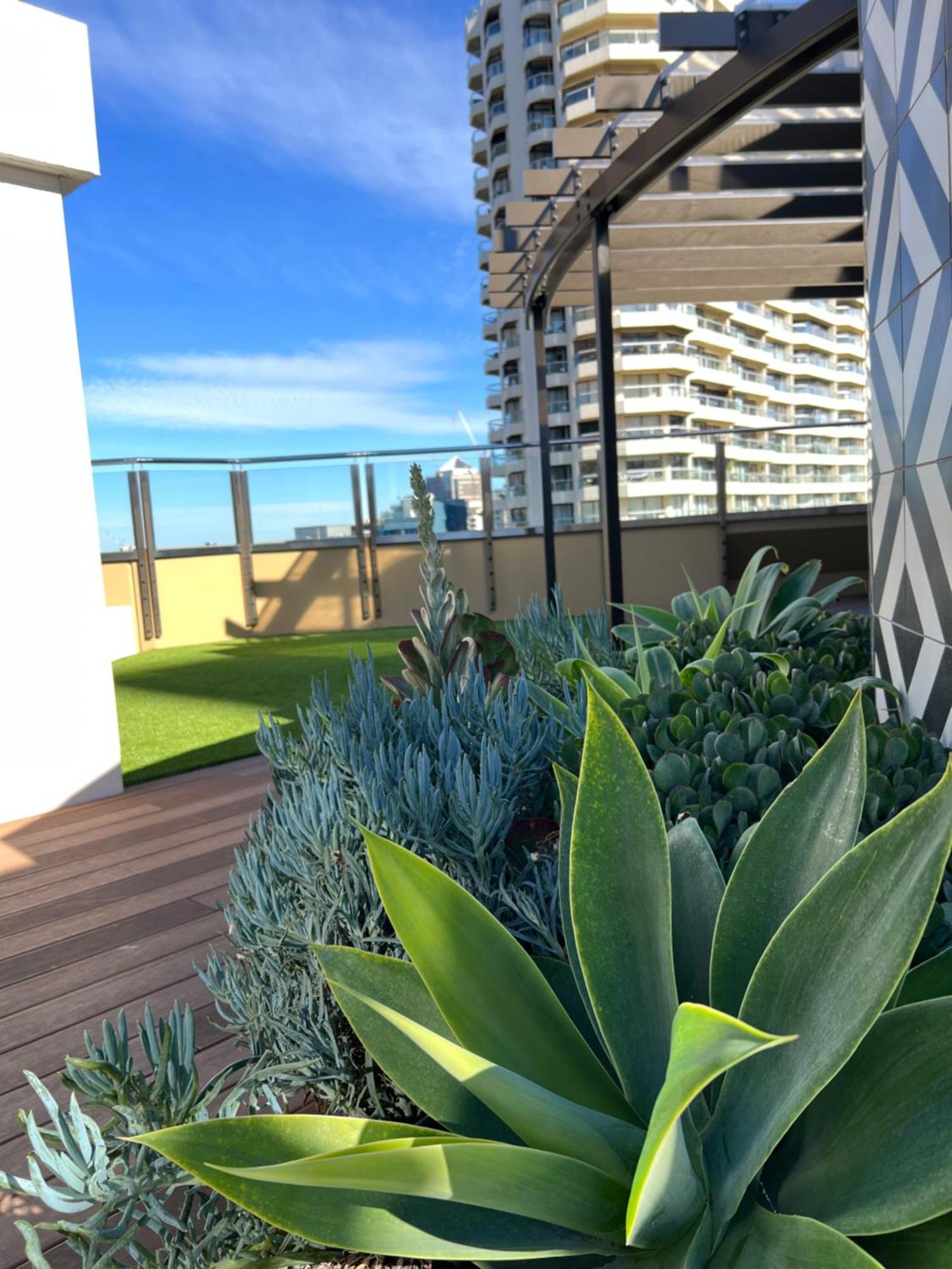 Sydney Hyde Park Private Apartments By Paxsafe Εξωτερικό φωτογραφία